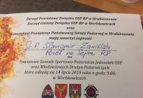 Powiatowe Zawody Sportowo-Pożarnicze, Werbkowice, 14.07.2019